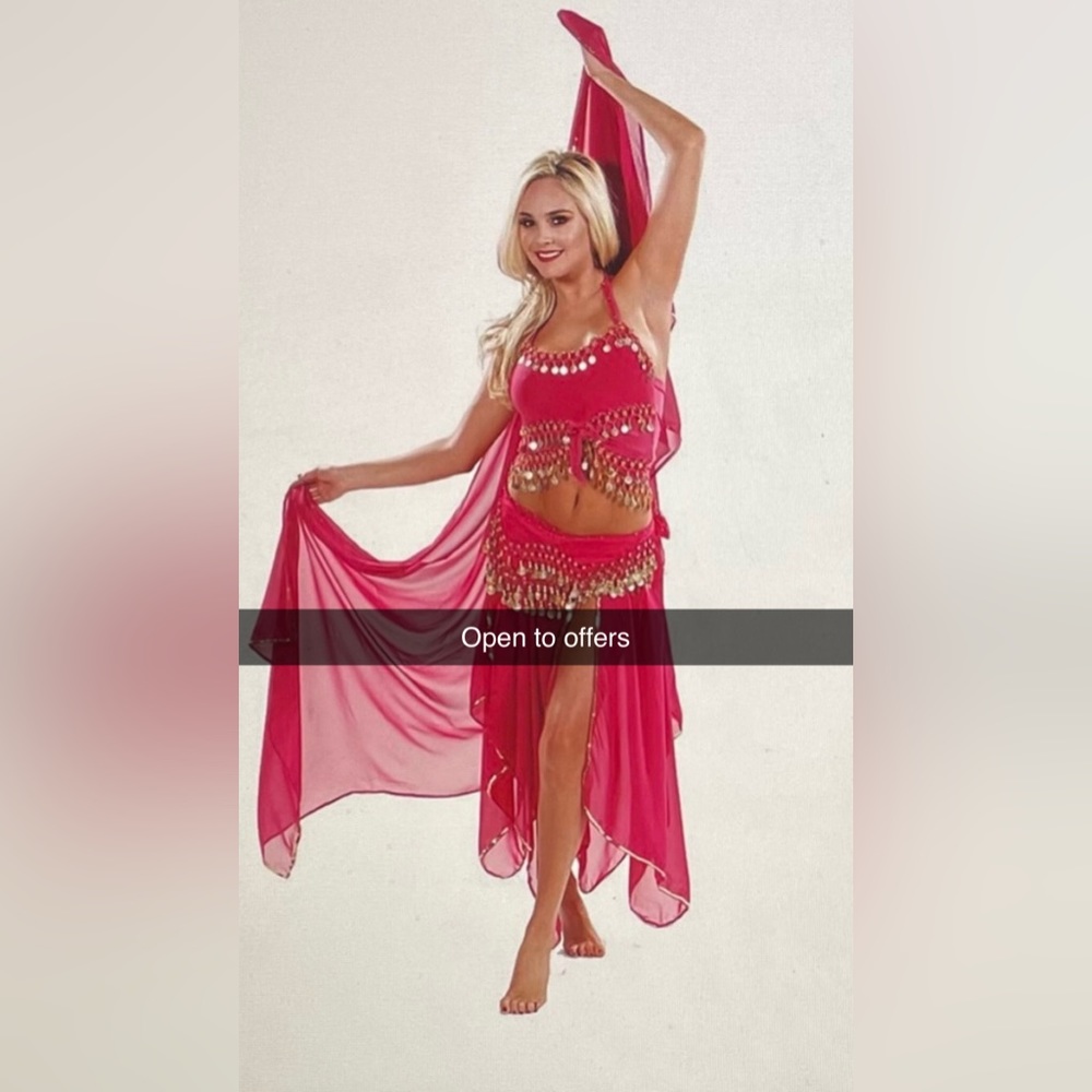 Belly dance outfit (negotiable price)